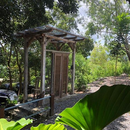 Omah Cantrik, Ethnic Java House With Nature View Jarakan Екстериор снимка