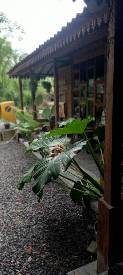Omah Cantrik, Ethnic Java House With Nature View Jarakan Екстериор снимка